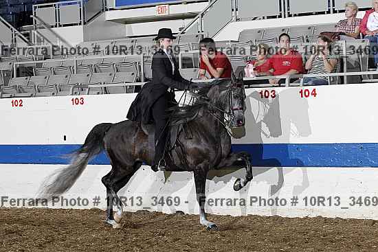 Proof 10r13_3469