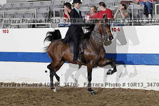 Proof 10r13_3470