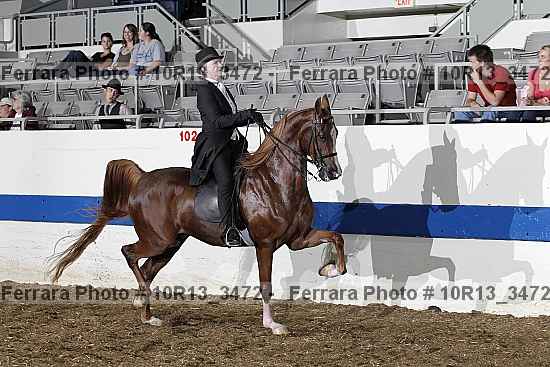 Proof 10r13_3472