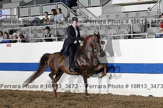 Proof 10r13_3473