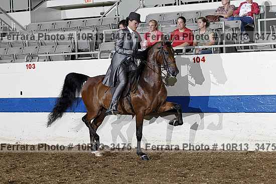 Proof 10r13_3475
