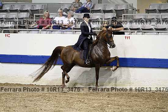 Proof 10r13_3476