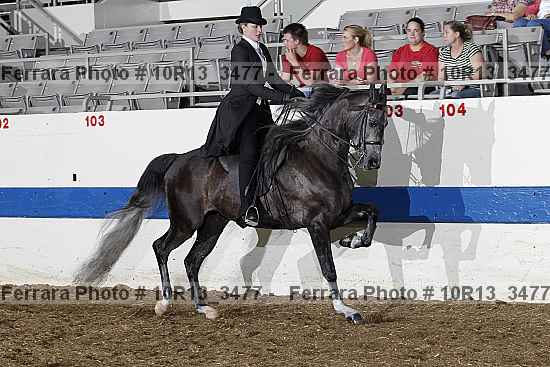 Proof 10r13_3477
