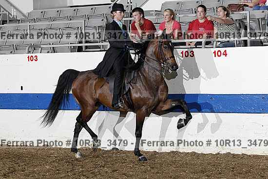 Proof 10r13_3479
