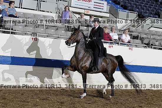Proof 10r13_3481