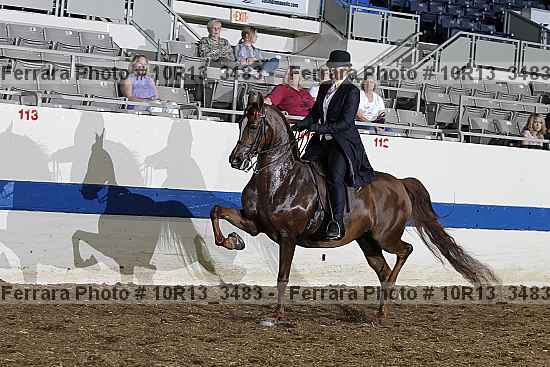 Proof 10r13_3483