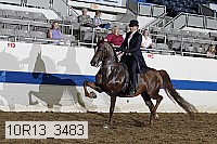 10r13_3483 proof