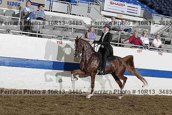 Proof 10r13_3485