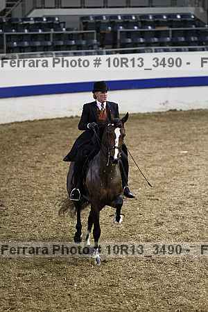 Proof 10r13_3490