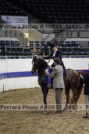 Proof 10r13_3493