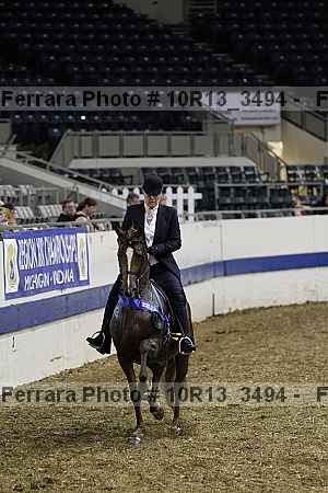 Proof 10r13_3494