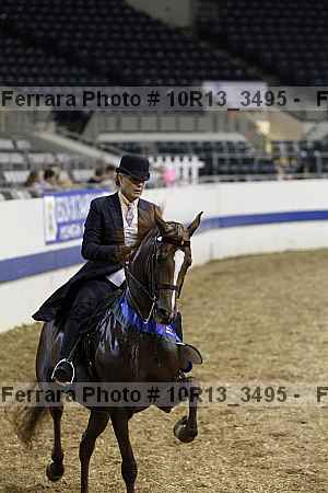 Proof 10r13_3495