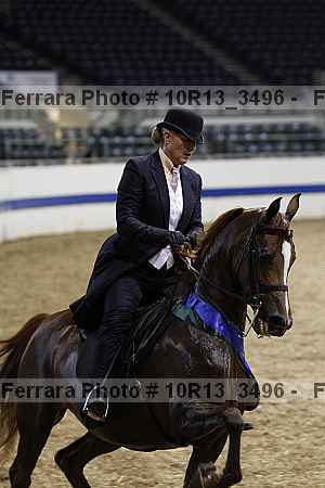 Proof 10r13_3496
