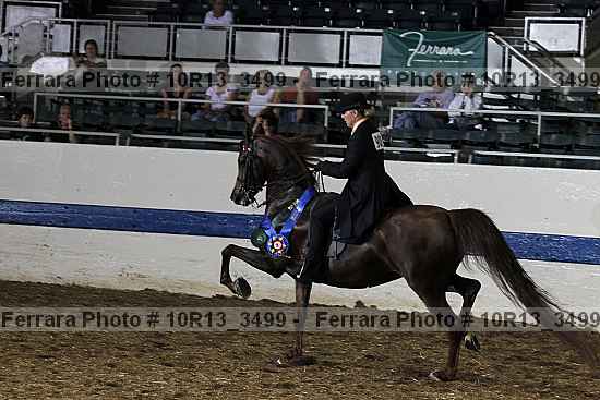 Proof 10r13_3499