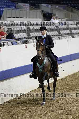 Proof 10r13_3501