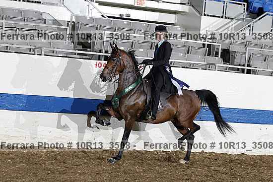 Proof 10r13_3508