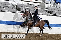 10r13_3508 proof