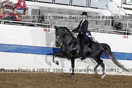 Proof 10r13_3509