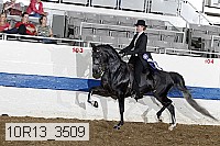10r13_3509 proof