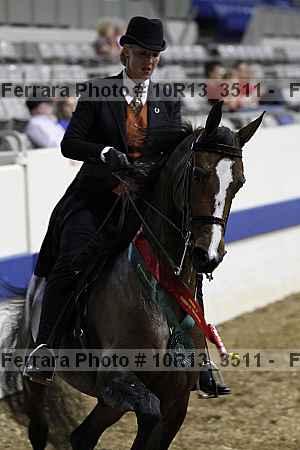Proof 10r13_3511