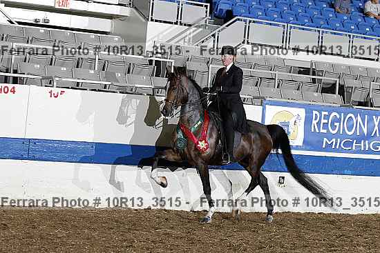 Proof 10r13_3515