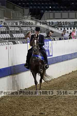 Proof 10r13_3516