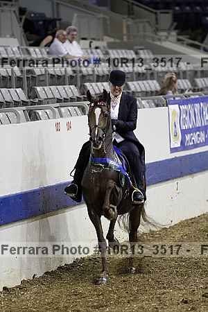 Proof 10r13_3517