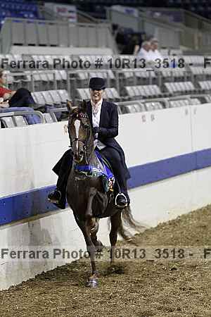 Proof 10r13_3518