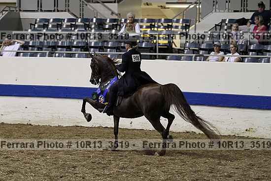 Proof 10r13_3519