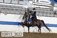 10r13_3522 proof