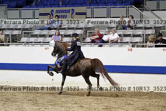 Proof 10r13_3523
