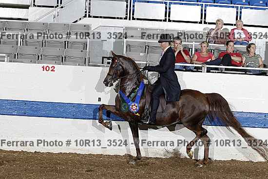 Proof 10r13_3524