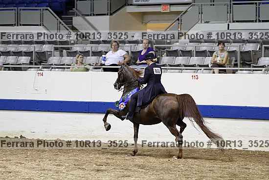 Proof 10r13_3525