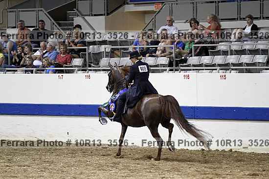 Proof 10r13_3526