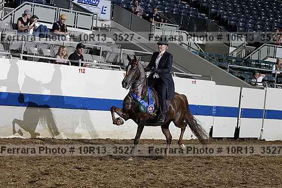Proof 10r13_3527