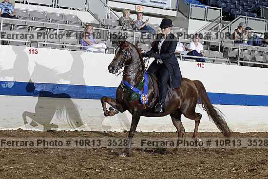 Proof 10r13_3528