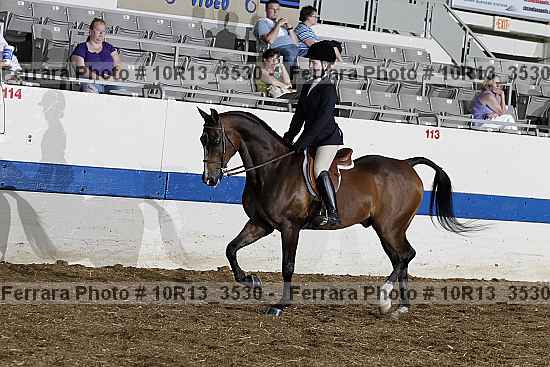 Proof 10r13_3530