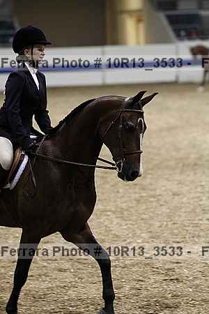 Proof 10r13_3533