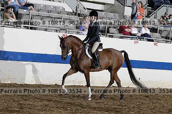 Proof 10r13_3534