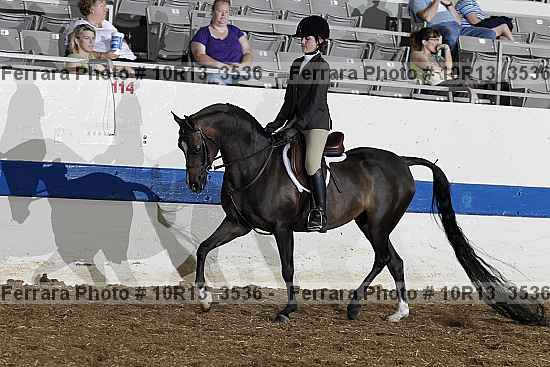 Proof 10r13_3536