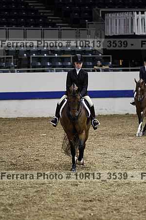 Proof 10r13_3539