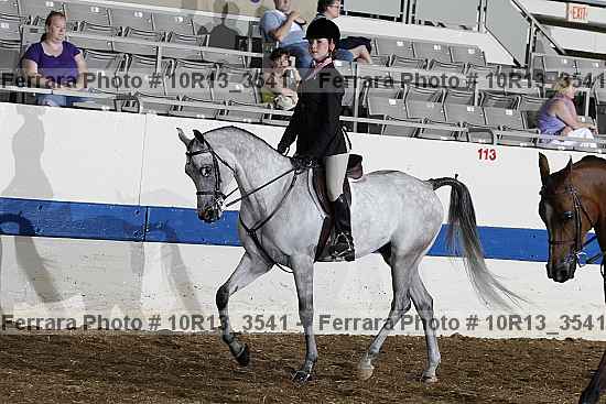 Proof 10r13_3541