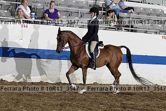 Proof 10r13_3547