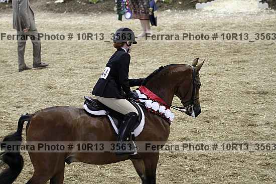 Proof 10r13_3563