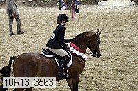 10r13_3563 proof