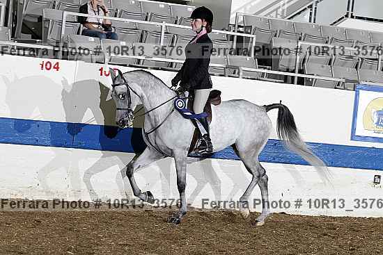 Proof 10r13_3576