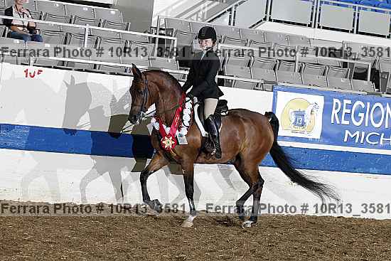 Proof 10r13_3581