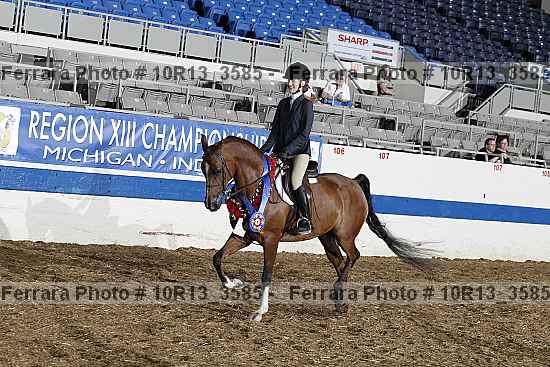 Proof 10r13_3585