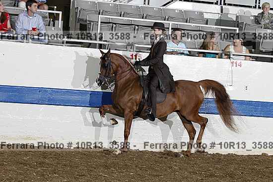 Proof 10r13_3588