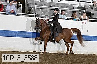 10r13_3588 proof